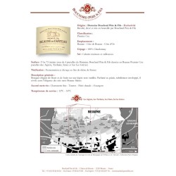 BEAUNE DU CHATEAU 1er cru Blanc DBPF 2018-13°