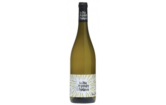 La JAVA Blanc - Touraine domaine Saget 2019-13°