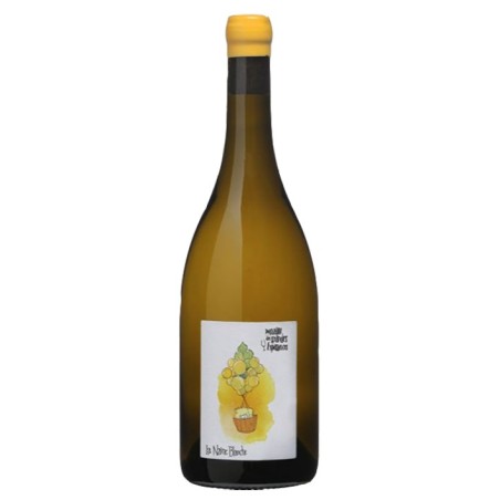 La NAINE BLANCHE - Touraine 2022-12°