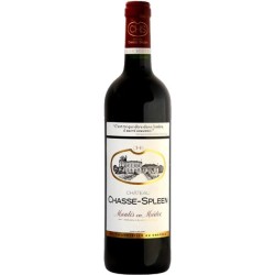 Château CHASSE SPLEEN 2018-13°