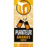 TI PLANTEUR ANANAS COCO   -12°9