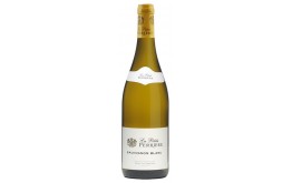 SAUVIGNON LA PETITE PERRIERE - DOMAINE SAGET 2023-12°5