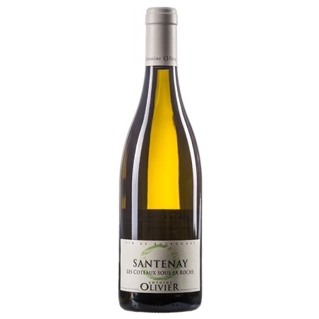 SANTENAY - LES COTEAUX SOUS LA ROCHE 2018-13°5