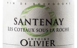 SANTENAY - LES COTEAUX SOUS LA ROCHE 2018-13°5