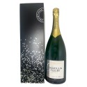 Champagne DEMOULIN FLEURY Grande Réserve Brut -