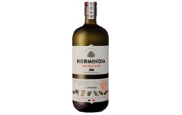 GIN NORMINDIA - France -41°4