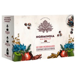 GIN NORMINDIA - France - Coffret 2 verres -41°4