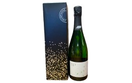 Champagne DEMOULIN FLEURY Brut ETUI -