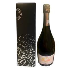 Champagne DEMOULIN FLEURY Blanc de Blancs Etui Cx 1 Bt -12°5