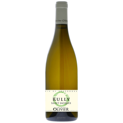 RULLY SAINT JACQUES Blanc - Antoine OLIVIER 2023-13°5