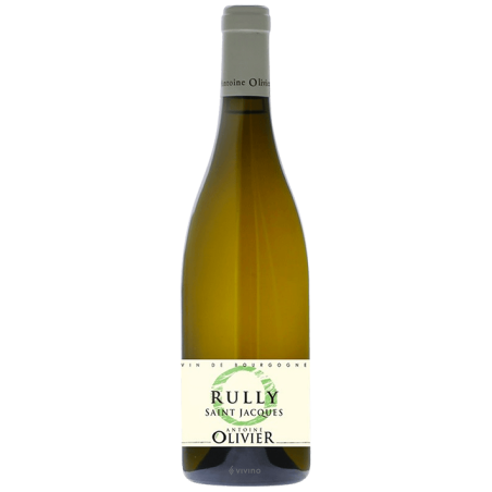 RULLY SAINT JACQUES Blanc - Antoine OLIVIER 2023-13°5