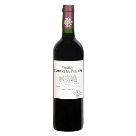 Château CAMBON LA PELOUSE 2018-13°5