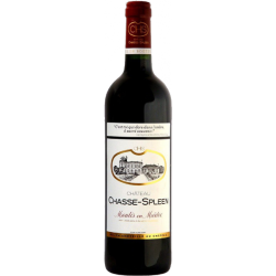 Château CHASSE SPLEEN 2018-13°