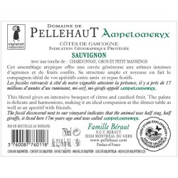 Domaine de PELLEHAUT AMPÉLOMERYX Blanc 2023-12°5