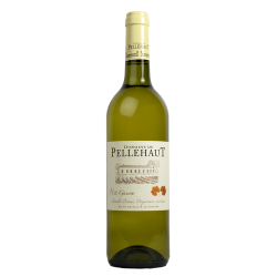 Domaine de PELLEHAUT Eté Gascon Blanc 2024-11°