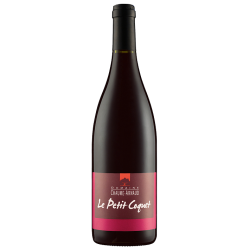 Le PETIT COQUET - Chaume-Arnaud - Bio 2019-14°