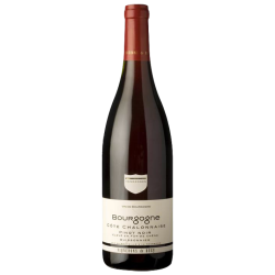 PINOT NOIR Côte Chalonnaise 2023-13°5