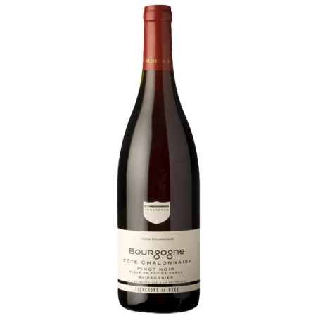 PINOT NOIR Côte Chalonnaise 2023-13°5