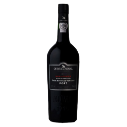 PORTO LBV - NOVAL 2018-20°