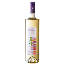 MUSCAT DE NOËL - Domaine Rochelierre 2025-
