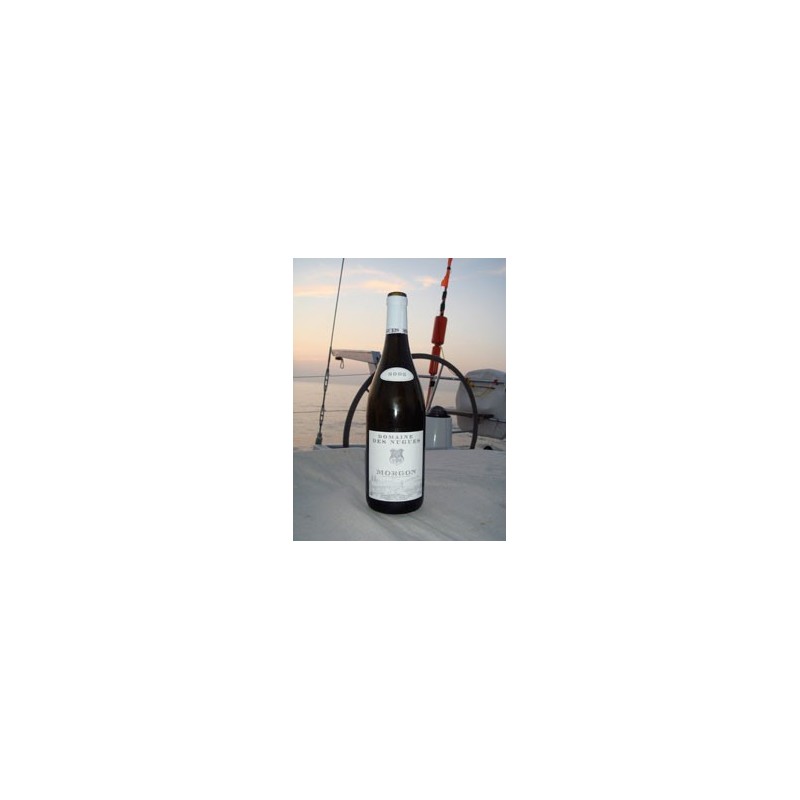 MORGON - Domaine des Nugues 2023-13°