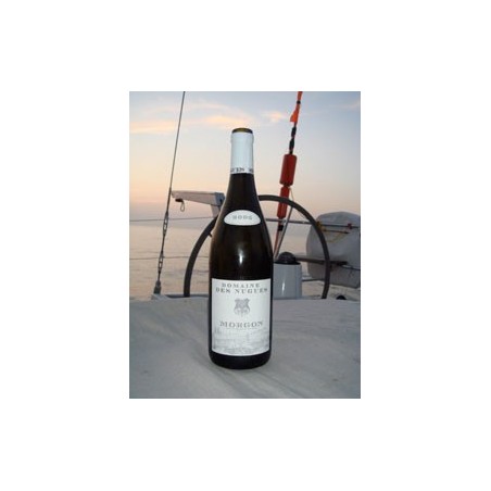 MORGON - Domaine des Nugues 2023-13°