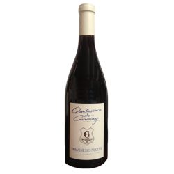 QUINTESSENCE DE GAMAY- Domaine Nugues 2018-12°5