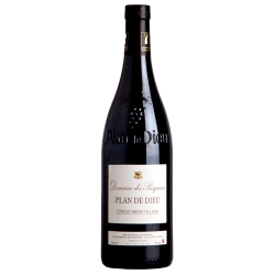 PLAN DE DIEU - DOMAINE PASQUIERS - Bio 2021-