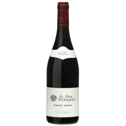 PINOT NOIR - LA PETITE PERRIERE - SAGET 2024-12°5