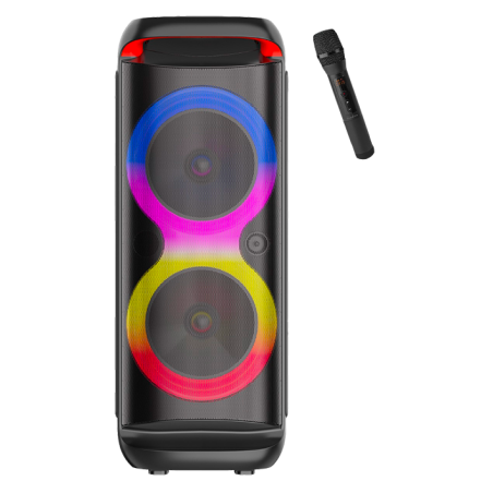 ENCEINTE 60 W - AMPLIFIÉE -BOOMBOX- Location -1 -