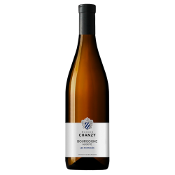 BOURGOGNE ALIGOTÉ LES FORTUNÉS 2023-13°