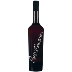 PASTIS MANGUIN -45°