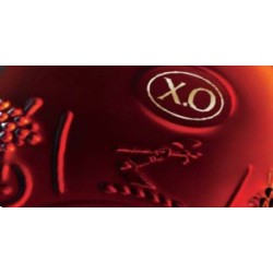 HENNESSY XO Coffret Collection -40°