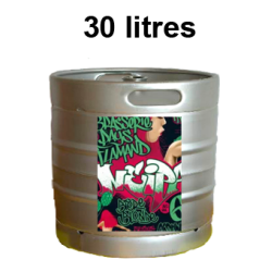 Bières ANOSTEKÉ IPA - FÛT 30 LITRES -6°