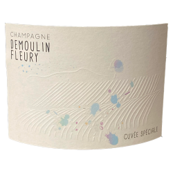 Champagne DEMOULIN FLEURY Cuvée Spéciale Magnum -