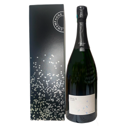 Champagne DEMOULIN FLEURY Cuvée Spéciale Magnum -