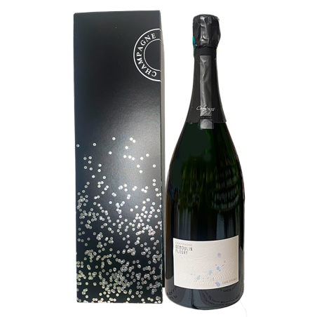Champagne DEMOULIN FLEURY Cuvée Spéciale Magnum -
