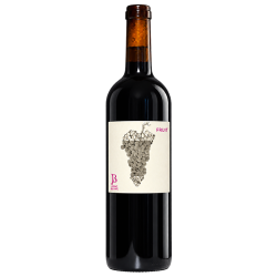 FRUIT - VdF Rouge – no SO² Domaine JONC BLANC 2022-14°
